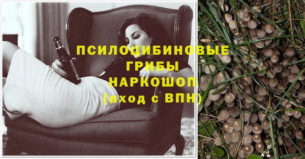 крисы Костерёво
