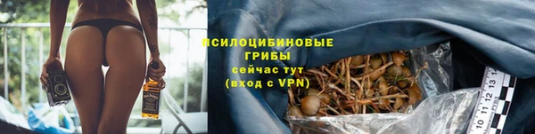 крисы Костерёво