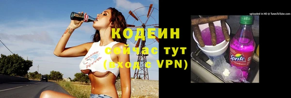 прущие крисы Корсаков