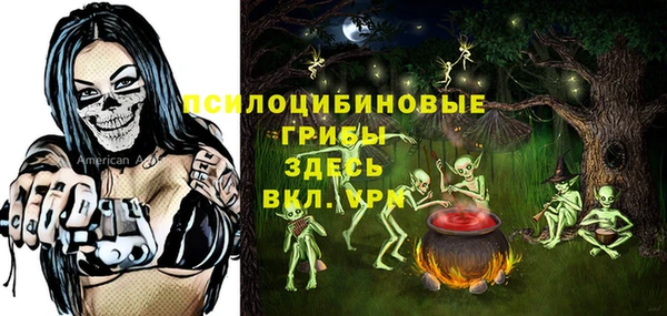 крисы Костерёво