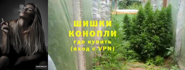 крисы Костерёво
